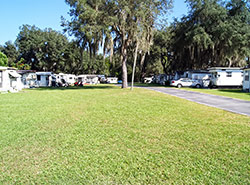 Andy's Travel Trailer RV Park is Zephyrhills, Florida's RV and Mobile Home Park community of choice.